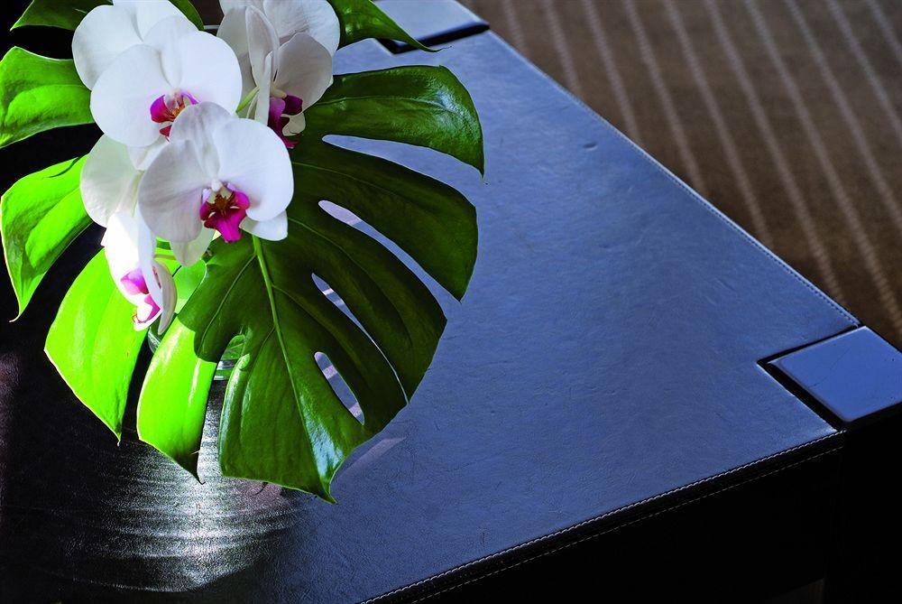 Hotel Excelsior Saint-Raphael (Var)